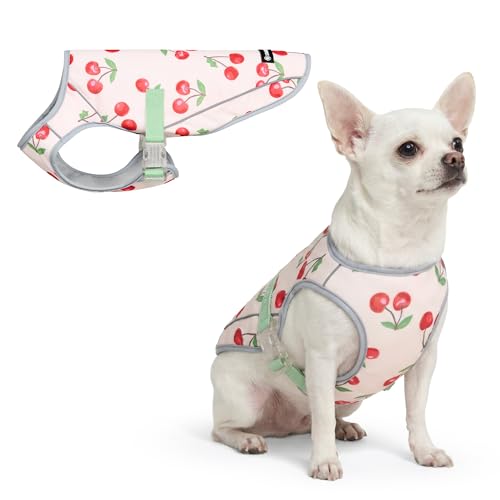 Spark Paws Dog Cooling Vest - SPF 50 UV Sun Protection - Summer Heat Relief Gear for Dogs, Lightweight, Evaporative Cooling - Dog Anxiety Relief Vest During Hot Days - Cherries - Size S - color: Cherries, size: S: 5-10lbs