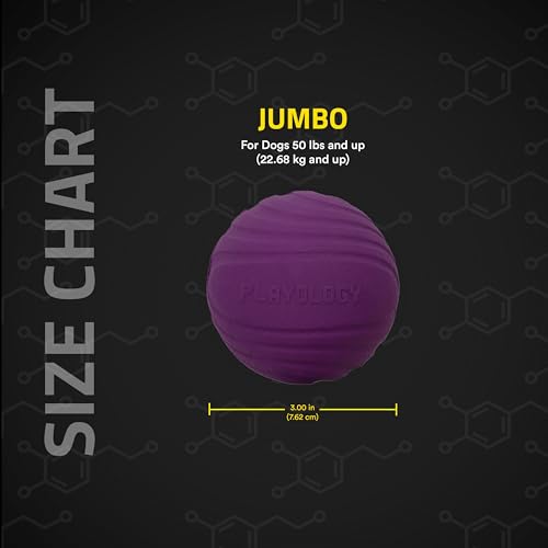 Playology Dog Toys | Dual Layer Ball Durable Chew Toy for Tough Chewers | Bacon Scented Jumbo Dog Toy | Chew Toys for Large Dogs - size: Jumbo, style: Bacon