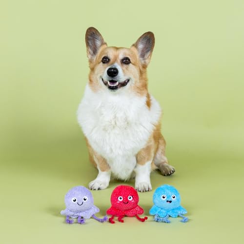 Fringe Studio Too TENTA-Cool Small Plush Dog Toy 3PCS Set, PetShop Collection (662127) - color: Multicolor