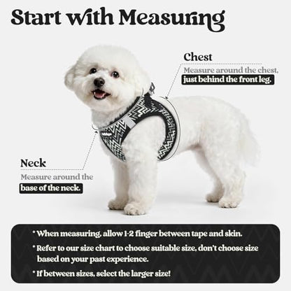 rabbitgoo Dog Harness Small Sized and Leash Set, Step in Soft Light Puppy Vest, Breathable Mesh Pet Harness, Reflective for Safe Easy Walking, Blach Zigzag S - color: Black Zigzag, size: S (chest: 15.1 - 16.5")