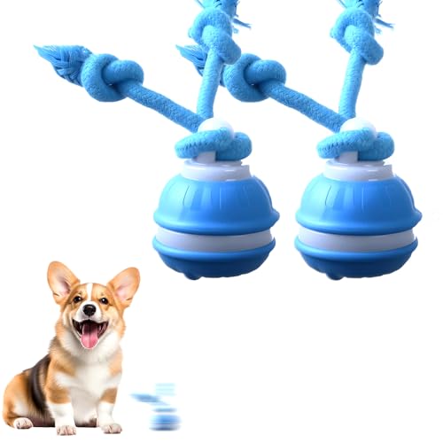 LECDOA Interactive Dog Toys, Smart Touch-Activated Automatic Rolling Ball, USB Rechargeable Bouncing Dog Ball, Suitable for Cats and Small to Medium-Sized Puppies (Blue 2pcs) - color: Blue 2pcs