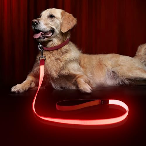 LED Dog Leash Light Up 4 Feet Micro USB Rechargeable Nylon Webbing Glow Safety Standard by Bpawser (Red) - color: Red, size: 4 Feet