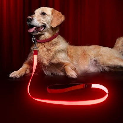 LED Dog Leash Light Up 4 Feet Micro USB Rechargeable Nylon Webbing Glow Safety Standard by Bpawser (Red) - color: Red, size: 4 Feet