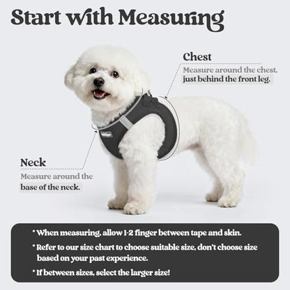 rabbitgoo Dog Harness Small Sized and Leash Set, Step in Soft Light Puppy Vest, Breathable Mesh Pet Harness, Reflective for Safe Easy Walking, Black XS - color: Black, size: Xs (chest: 13.3 - 15.5")