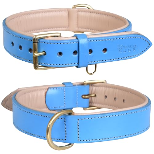 Leather Dog Collar for Medium Dogs, Blue, 1 Inch Wide, Genuine Leather, Heavy Duty with Soft Inner Padding, Comfortable and Durable (Medium (Fit Neck Size 14.5"-18.5"), Blue) - color: Blue, size: M (Fit Neck Size 14.5"-18.5")