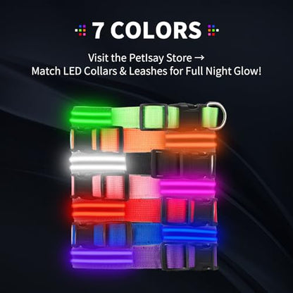 Dog Light up Collar for Night Walking - High Visibility LED Dog Collar - Rechargeable - Waterproof - Reflective - Adjustable Lighted Glow Collars(Purple,XLarge) - color: Purple, size: XLarge (22" - 27")