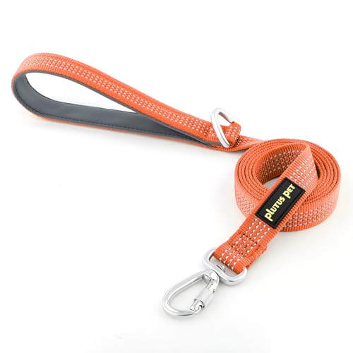 Plutus Pet Heavy Duty Dog Leash with Lockable Aluminum Carabiner, 4/6 Feet Long, Double-Sided Reflective Nylon, Padded Handle, for Puppy, Small, Medium and Large Dogs (Orange, 1" x 4') - color: Orange, size: 1" x 4'