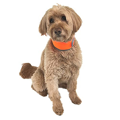 CoolerDog Hi-Vis Cooling Dog Collar for Medium Dogs – Reflective Re-Freezable Ice Collar for Hot Weather & Heat Relief (Orange, Medium) - size: Medium