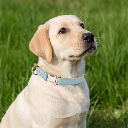 Soft Classic Leather Dog Collar Heavy Duty Padded Collars with Metal Buckle for Puppy Small Medium Dogs (Blue,XS) - color: Blue, size: XSmall