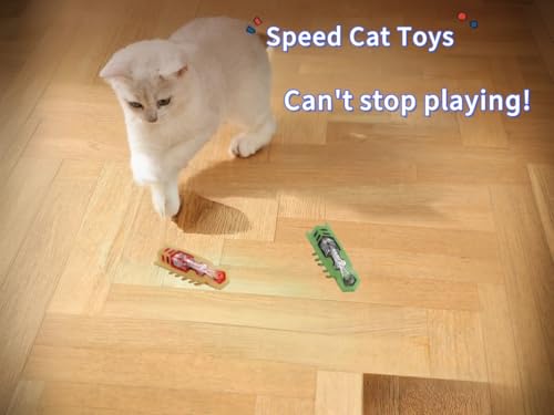 Cat Interactive Teaser Toys 2PCS Electric Moving Beetle Mini Electric Robot Beetle Electric Funny Interactive Toy Heal Loneliness for Cat Kitten Replaceable Battery (Green+Orange) - color: Green+orange