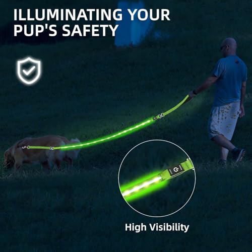 Light up Dog Leash for Night Walking - USB C Rechargeable - Waterproof - Dog Leashes with Flashlight - LED Leash for Dogs - 6Ft, Pink - color: Pink