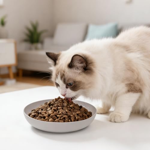 [8 Pack] Cat Dishes Whisker Friendly, Shallow Wide Cat Food and Water Bowl, Durable Wheat Straw Cat Bowls for Indoor Cats - color: light color