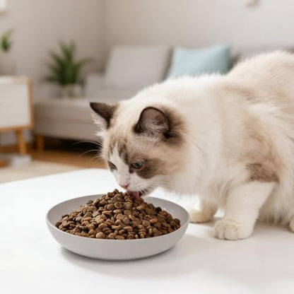 [8 Pack] Cat Dishes Whisker Friendly, Shallow Wide Cat Food and Water Bowl, Durable Wheat Straw Cat Bowls for Indoor Cats - color: light color