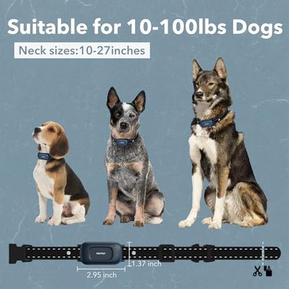 PATPET Dog Training Collar with Remote -2000Ft IPX7 Waterproof Dog Shock Collar, 4 Modes (Beep/Vibration/Shock 0-16 Levels/Keypad Lock) Rechargeable Electric Dog Collar for Small Medium Dogs 10-100lbs - color: Blue