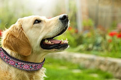 Dog Collar for Small Medium & Large Dogs - Heavy Duty Cotton Collar, Long Lasting, Adjustable, Strong and Durable and Quick Release Buckle, Quality Pink – Get It Now! - color: Pink, size: Medium