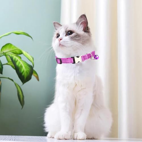 Light Purple Kitten Collar with Bell, Reflective Nylon XS Cat Collars Soft Puppy Collar Adjustable Buckle for XSmall Small Dogs Puppies Female Tiny Pets Boy Girl Kitten Yorkie X-Small - color: Purple