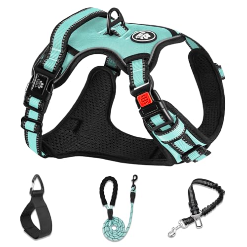 No Pull Dog Harness,Adjustable Oxford Dog Vest Harness with Leash,Reflective No-Choke Pet Harness with Easy Control Soft Handle for Small Dogs(Small,Turquoise) - color: Turquoise, size: 【S】neck 11-15" chest 15-21"