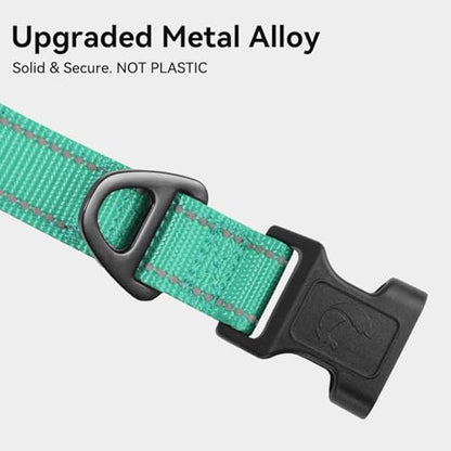 Joytale Reflective Dog Collar, Soft Neoprene Padded, Metal D-Ring, Nylon Pet Collar Adjustable for Puppy and Small Dogs, Teal, XS - color: Teal, size: X-Small (Pack of 1)
