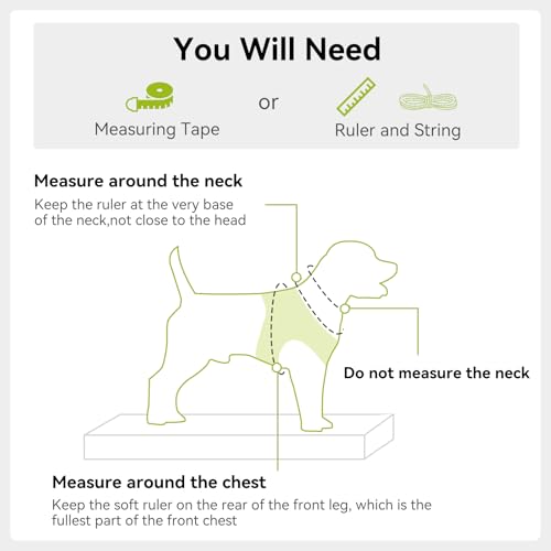 Joytale Small Dog Harness, Breathable Mesh Step-in Vest, Reflective Soft Padded Harnesses for Cats, Puppies and Extra Small Dogs, Green, XXS - color: Green, size: XXS--Chest: 12-13.5''