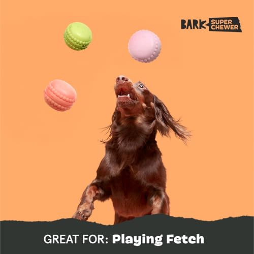 Barkbox Macaruffs | Plush Dog Toy Bundle for Small Dogs, Perfect for Cuddles and Gift Giving - style: Macaruffs