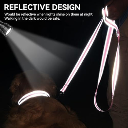 Joytale Dog Leash, 6 FT Double-Sided Reflective, Padded Handle Nylon Heavy Duty Leashes for Small Dogs Walking, Pink - color: Pink, size: 4 ft Narrow