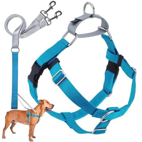 2 Hounds Design Freedom No Pull Dog Harness, Adjustable Harness and Leash Set, Easy Walking & Comfortable Control, Fits Small, Medium & Large Dogs, Solid Colors, Made in USA, 5/8" XS, Turquoise - color: Turquoise, size: XS (Chest 15"- 20")
