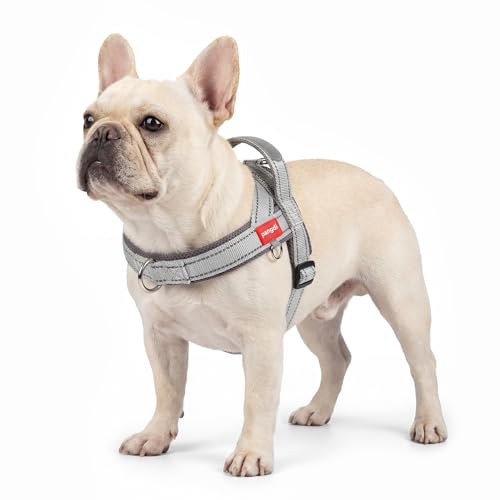 No Pull Dog Harness with Handle, Boston Terrier Adjustable Reflective Dog Vest, Breathable Air Mesh Padded Pet Harness with Front Leash Clip for Small Medium Dogs, Light Grey, M - color: Light Grey, size: Medium
