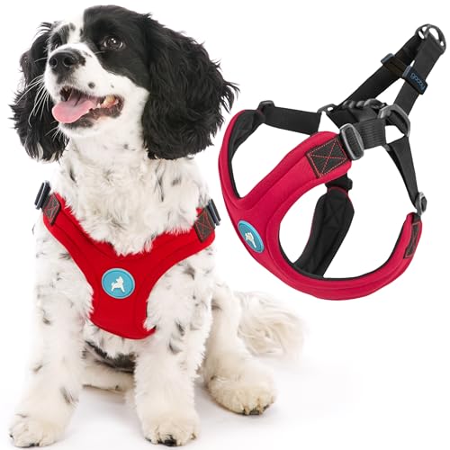 Gooby Escape Free Sport Harness - Red, Medium - No Choke Step-in Patented Neoprene Small Dog Harness with Four-Point Adjustment - Perfect on The Go Dog Harness for Medium Dogs No Pull and Small Dogs - color: Red, size: Medium chest (14.25-21.5")