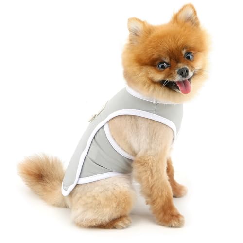 PAIDEFUL Cooling Dog Shirt for Small Dogs Summer Pet UV Sun Protection Vest Lightweight Breathable Doggie Tank Top Soft Stretchy Puppy T-Shirts Solid Cat Apparel Chihuahua Clothes D-Ring,Gray,XXL - color: gray, size: XXL