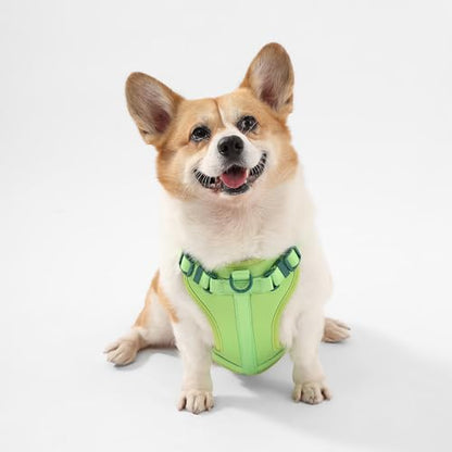 HNS1002B Arlo Medium Adjustable Soft Padded No Pull Pet Harness with 3 Buckles and 3 Leash Clips, Mojito - color: Light Green, size: Medium (Chest: 18 - 28")