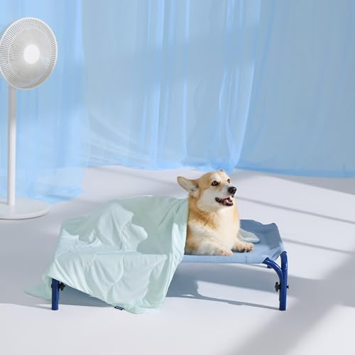 Bedsure Cooling Blanket for Medium Dogs with Breathable Air-Core Fill Q-MAX>0.4 - Dog Cooling Mat Soft, Lightweight Pet Cat Throw Cold Blanket Washable for Summer, Pale Jade, 30x40 - color: Pale Jade, size: M(30x40")