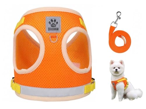 Pet Harness Vest with Leash for Small Medium Dogs Cats-No Pull Step-in Pet Vest Breathable Soft Lightweight Harness and Leash Set for Puppy Kitty Bunny-Orange-M - color: Orange, size: Medium