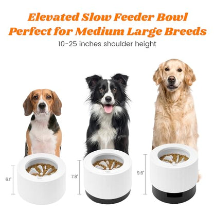 Pawque Elevated 60oz Slow Feeder Dog Bowls Large Breed, Single Raised Food Bowl for Medium Large Sized Dogs, Stable Sturdy Base and Snap on Adjustable Height Stand, Anti-Slip Mess Proof Dog Bowls