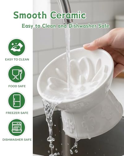 Ceramic Slow Feeder Cat Bowl, 15° Tilted Elevated Cat Slow Eating Bowl for Neck Protection, Anti Vomiting Dog Slow Feeder, Whisker Friendly & No Black Chin for Cats and Small Dogs, White - color: 01-White