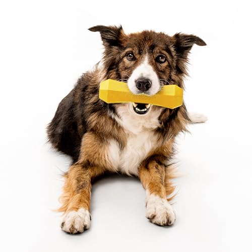 Playology Dog Toys | Squeaky Chew Stick for Large Dogs | Chicken Scented Jumbo Fetch Toy | Squeaky Dog Chew Toy - size: Jumbo, style: Chicken