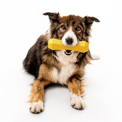 Playology Dog Toys | Squeaky Chew Stick for Large Dogs | Chicken Scented Jumbo Fetch Toy | Squeaky Dog Chew Toy - size: Jumbo, style: Chicken