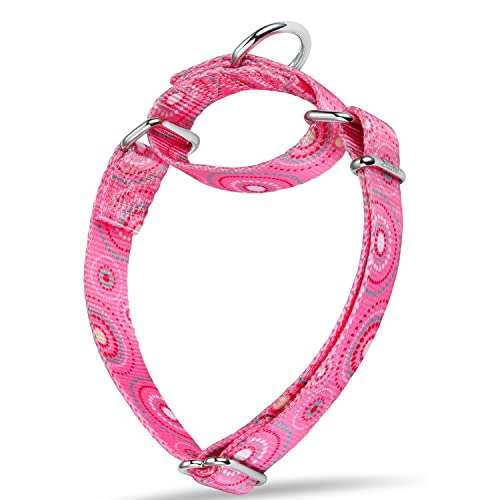 Fashion Print and Unique Geometric Pattern Martingale Dog Collar, Silky Soft Safety Training Collars for Small to Large Dogs (Medium, 1 Inch Wide, Firework Dots -Pink) - color: Firework Dots Pink, size: Medium: 14"-21", 1" Wide
