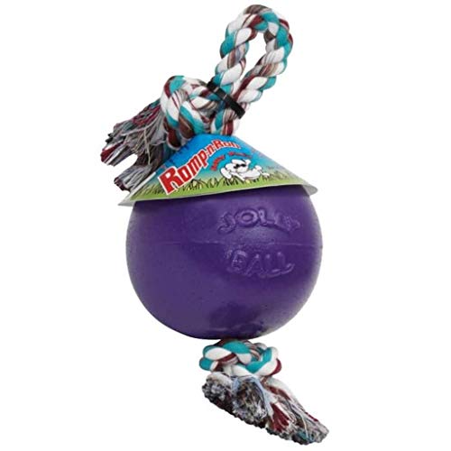 Jolly Pets Romp-n-Roll Rope and Ball Dog Toy, 8 Inches/Large, Purple, Large Breeds - color: Purple, size: Large (8 in)