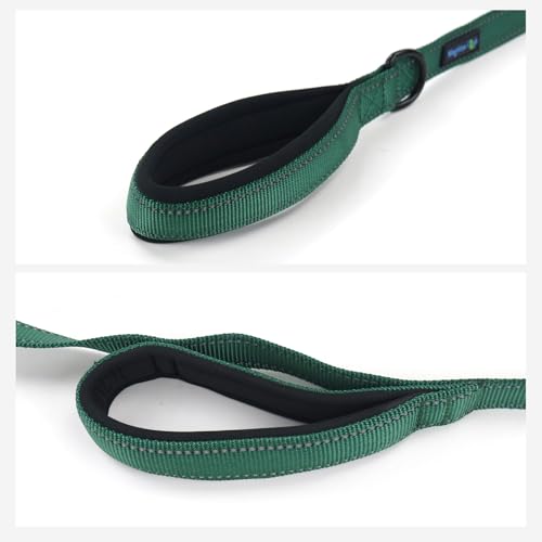 Wagtime Club Double Handle Dog Leash, 6ft Long Heavy Duty Dog Leash with Paded Traffic Handles for Extral Control and Training, Dual Handles Leads, Large Medium Small Dogs (Reflective Hunter Green) - color: Reflective Hunter Green
