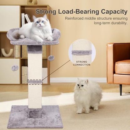 34" Tall Cat Scratching Post with Bed, Sisal Scratch Posts Trees with Plush Perch and Hanging Ball for Indoor Cats, Removable Cover, Large Scratch Post and Base, Rugged and Durable, Light Grey - color: Light grey