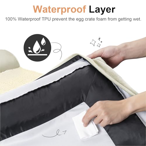 Medium Large Dog Bed Orthopedic Washable: Beds Bolster Medium Large Sized Dog Bed Egg Crate Foam Couch Sofa Waterproof with Removable Cover - Beige - color: Beige, size: 30.0"L x 20.0"W x 6.0"Th