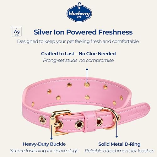Blueberry Pet Premium Embossed Pink Glam Silver-Powered Freshness Microfiber Leather Dog Collar with Gold Studs - color: Pink, size: Small