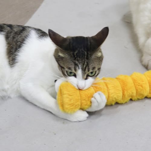 Andiker Catnip Toys for Cats, Cute Caterpillar Design Cat Pillar with Pompom Ball Cat Kicker Toy Containing Catnip Silvervine Galls Fruit Interactive Cat Toys for Indoor Cats (Yellow) - color: Yellow