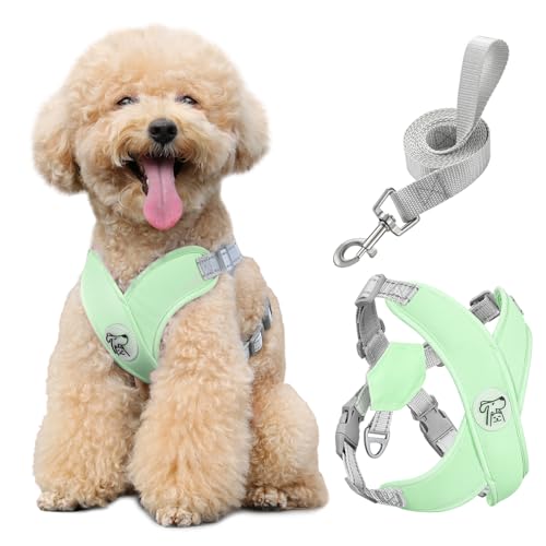 Pawaboo Small Dog Harness and Leash Set, Puppy Harness X-Frame No Pull No Choke, Dog Vest Harness Adjustable for Small Medium Sized Dogs, Soft Breathable Pet Harness for Walking Outing, M, Mint Green - color: A-Mint Green, size: M(Neck 15.7-18.9" Chest 14