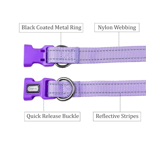 Dog Collar Leash Set, Durable Polyester with Reflective Strips, 5ft Matching Leash, Adjustable 4 Sizes for Small Medium Large Dogs.(XS, Purple) - color: Solid Purple, size: Extra Small