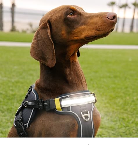 Lumi One LED Dog Harness for Night Visibility and Safety, Patent Pending – High-Visibility Light-Up Dog Vest with 1000 Lumen LED, Rechargeable Battery, Adjustable Fit, Reflective Trim (Black, Large) - color: Black, size: Large