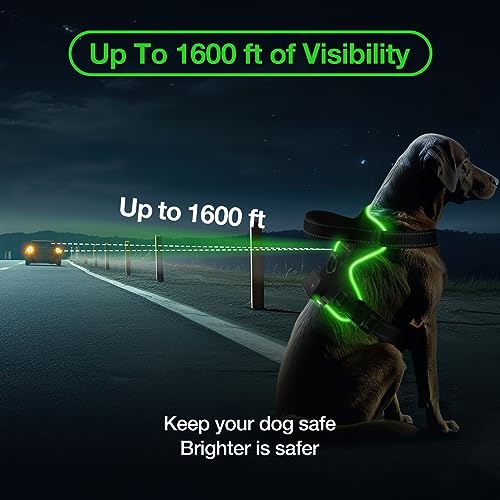 Light Up Dog Harness - No Pull Led Dog Harness Rechargeable Adjustable Lighted Dog Vest Harness for Small Medium Large Dogs - color: Black-Green, size: S