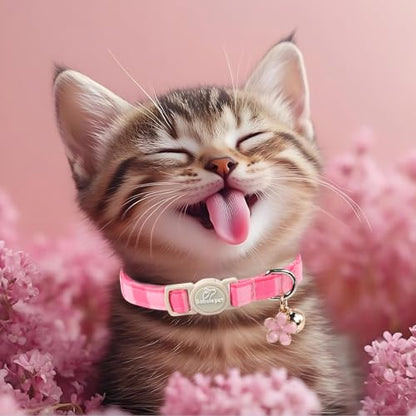 2 Pack Pink Cat Collars - Spring Summer Breakaway Cat Collar with Bell, Bow and Flower Pendant, Adjustable Kitten Collars for Girl Cats, Cute Pink Plaid &Bow - color: Pink Plaid &Bow