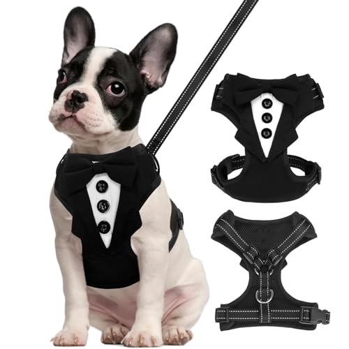 BINGPET Dog Tuxedo Harness for Small Medium Dogs, No Pull Dog Harness and Leash Set,Soft Padded Mesh Step-in Dog Vest Tux Costume for Wedding Outfit Birthday Party Holiday,Pet Formal Wear with Bowtie - color: Black, size: Medium