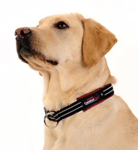 ComfortFlex Premium Padded Martingale Dog Collar – Reflective Waterproof Slip-On Limited Slip Collar for Gentle Control & Escape Prevention - Large, Bordeaux - color: Bordeaux, size: Large